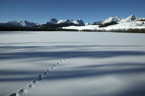 Little Redfish Lake in Winter